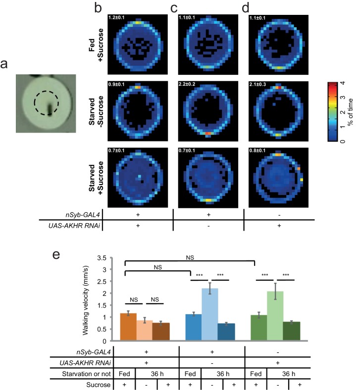 Figure 3—figure supplement 3.