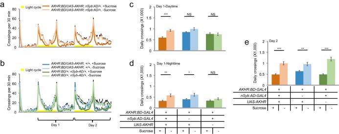 Figure 5—figure supplement 1.