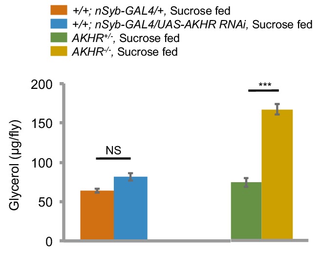 Figure 3—figure supplement 1.