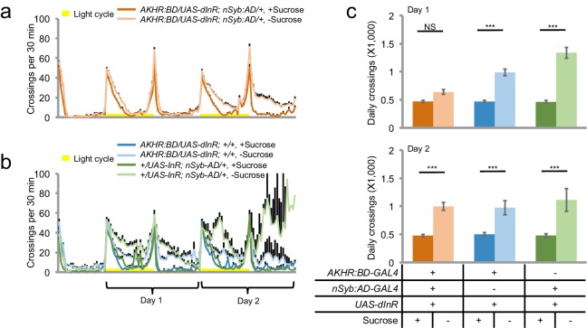 Figure 6—figure supplement 2.