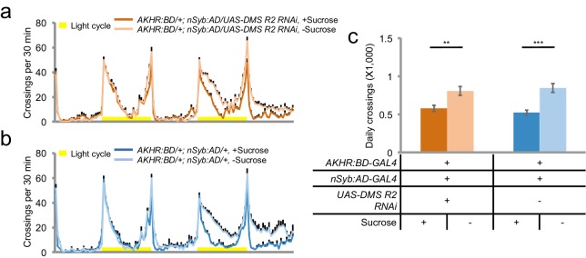 Figure 6—figure supplement 3.