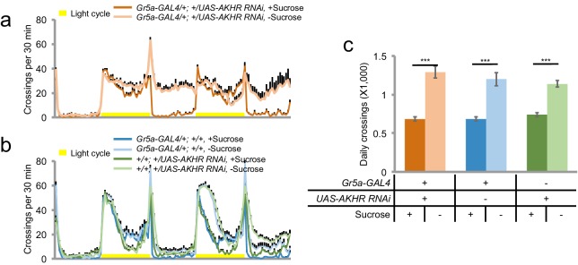 Figure 4—figure supplement 1.