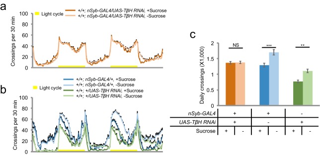 Figure 7—figure supplement 1.