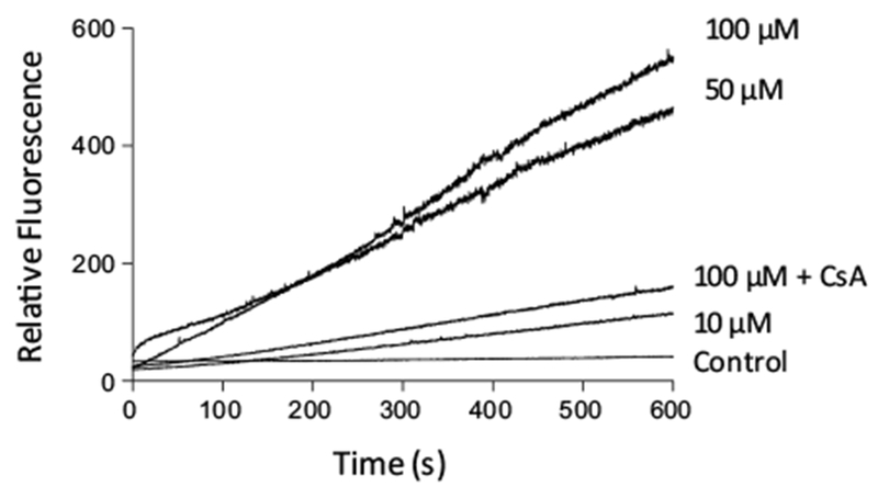 Fig. 6