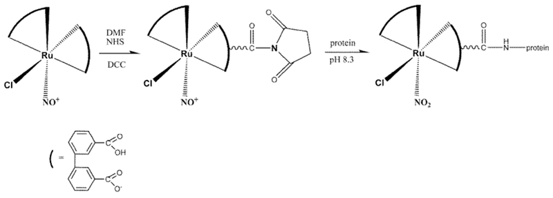 Scheme 3