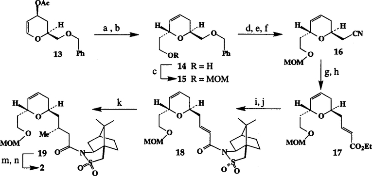 Scheme 1: