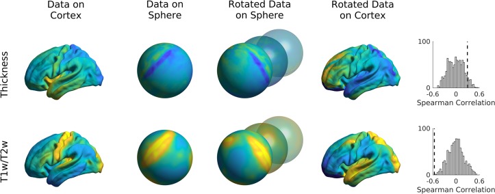 Fig. 10