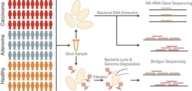 FIG 1