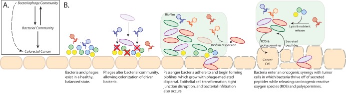 FIG 6