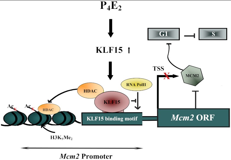 Fig. P1.