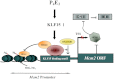 Fig. P1.