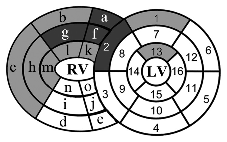 Figure 2a: