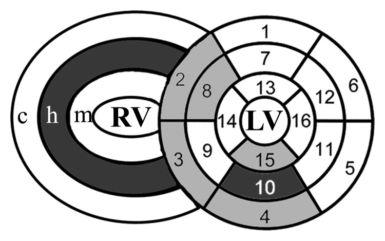 Figure 2b: