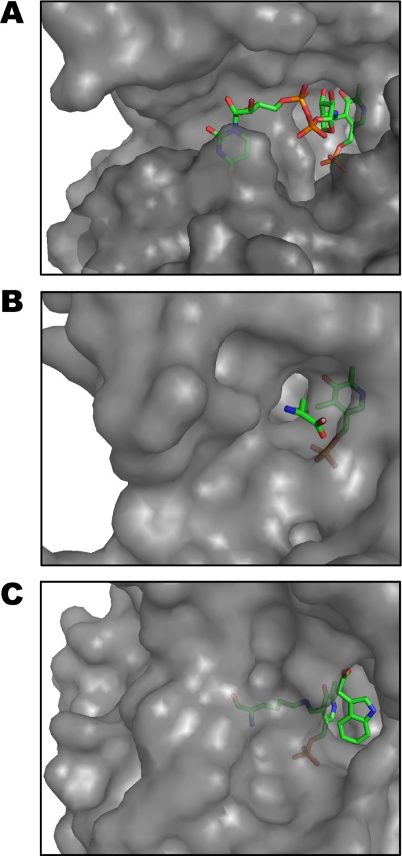 Figure 5