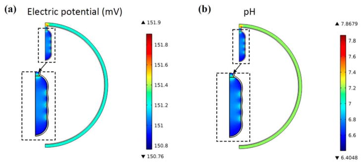 FIG. 3