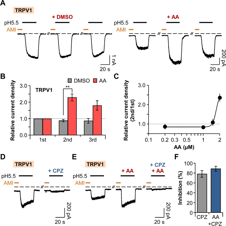 Fig 6