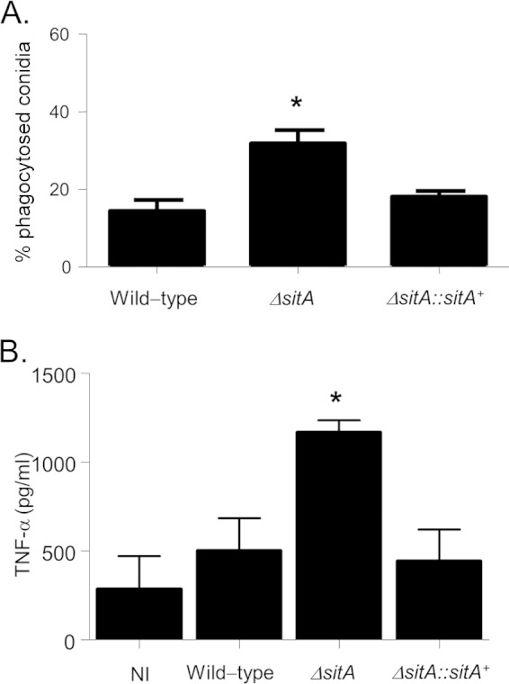 FIG 10