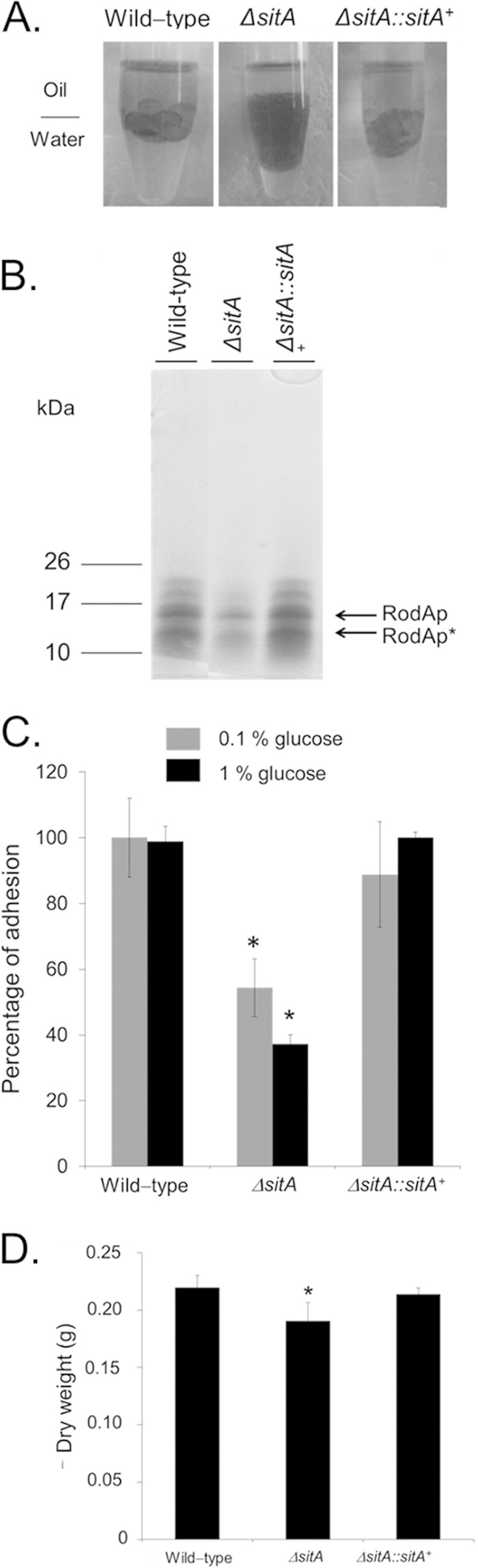 FIG 6