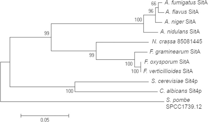 FIG 1