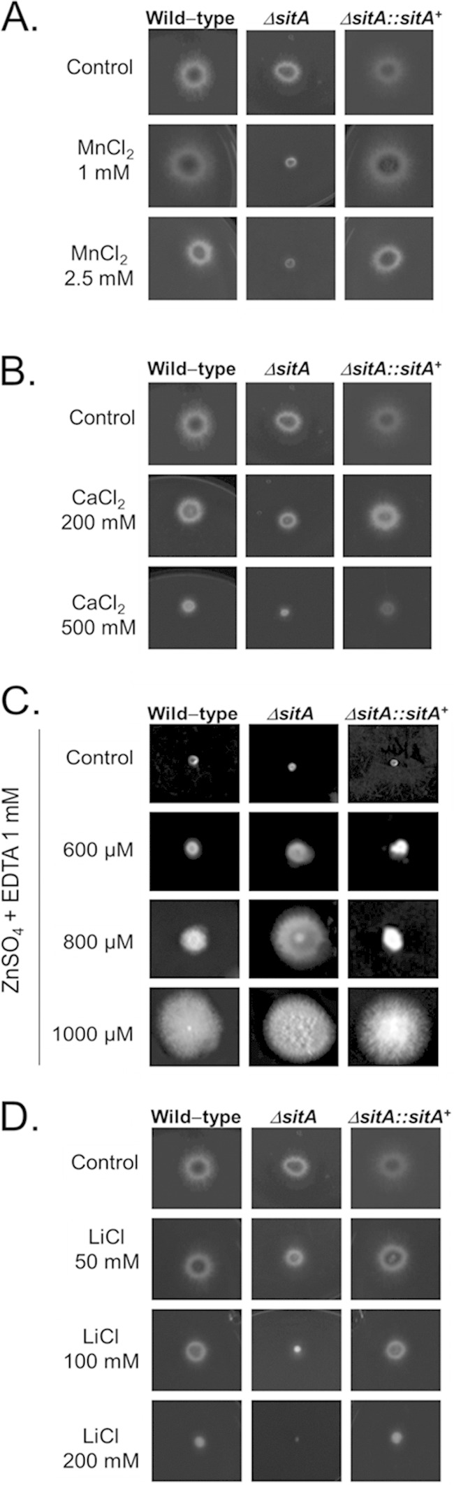 FIG 2