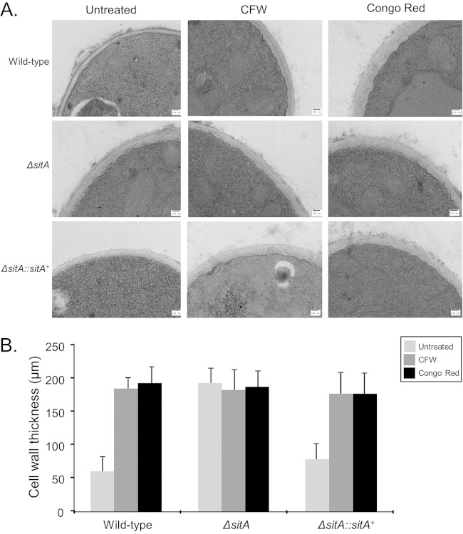 FIG 5