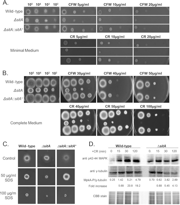 FIG 3