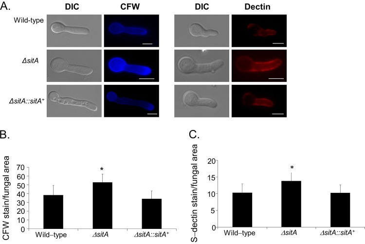 FIG 4