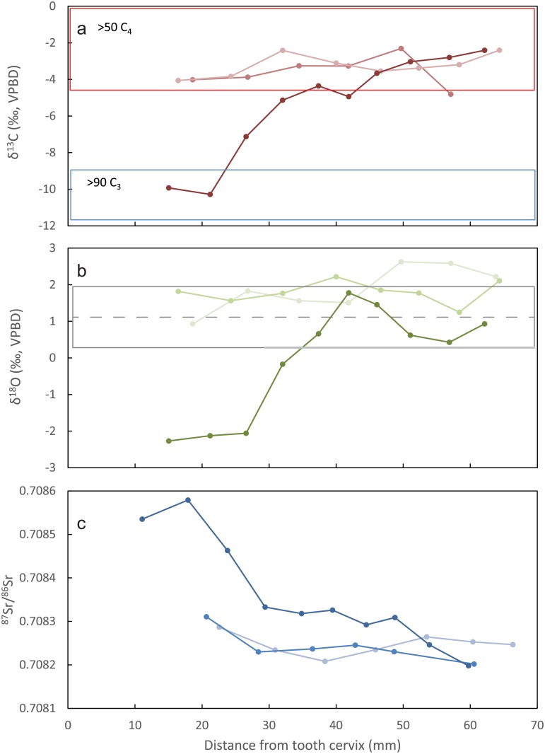 Fig 4