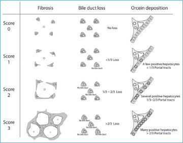 Figure 12.