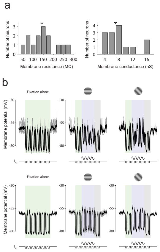 Extended Data Figure 5