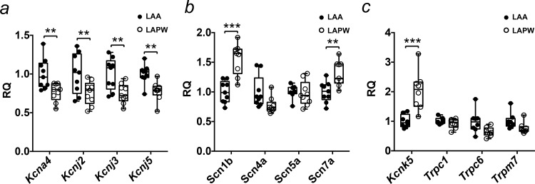 Fig 5