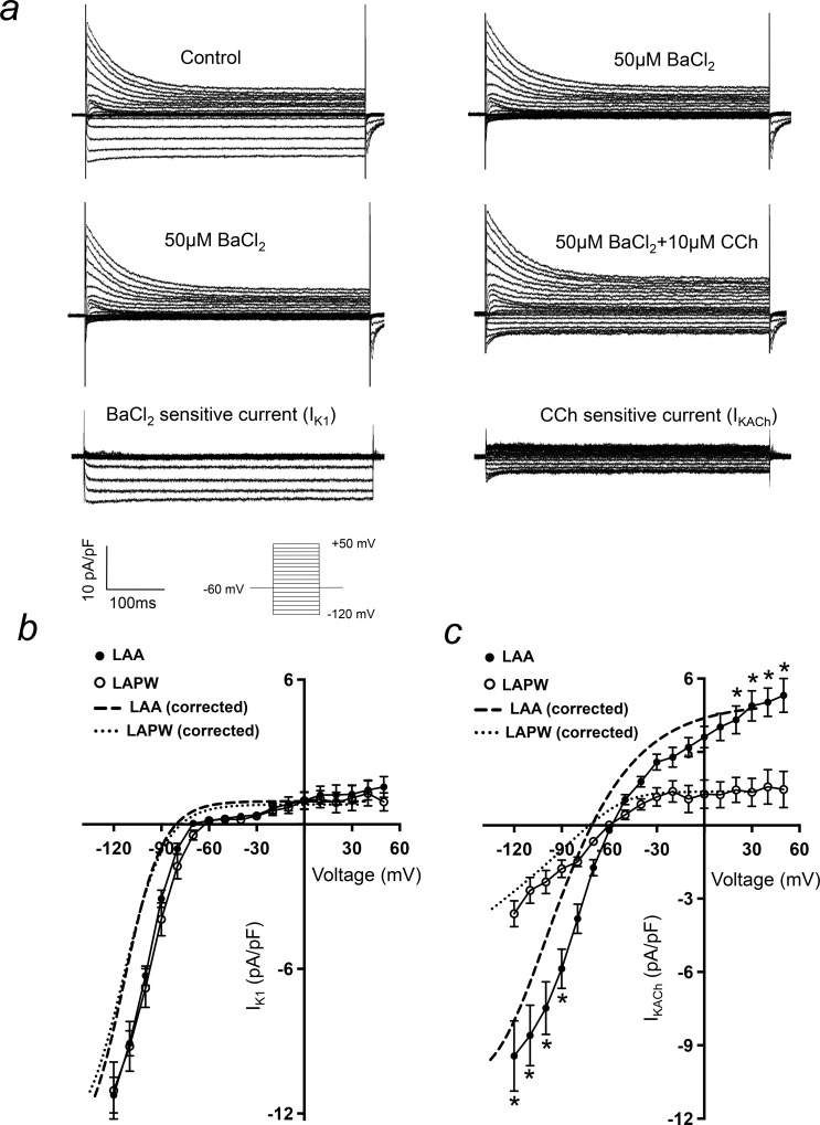 Fig 7