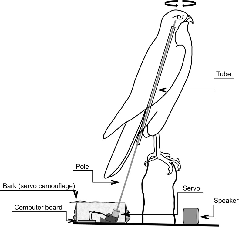 Fig. 1