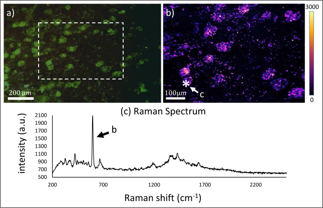 Fig. 3