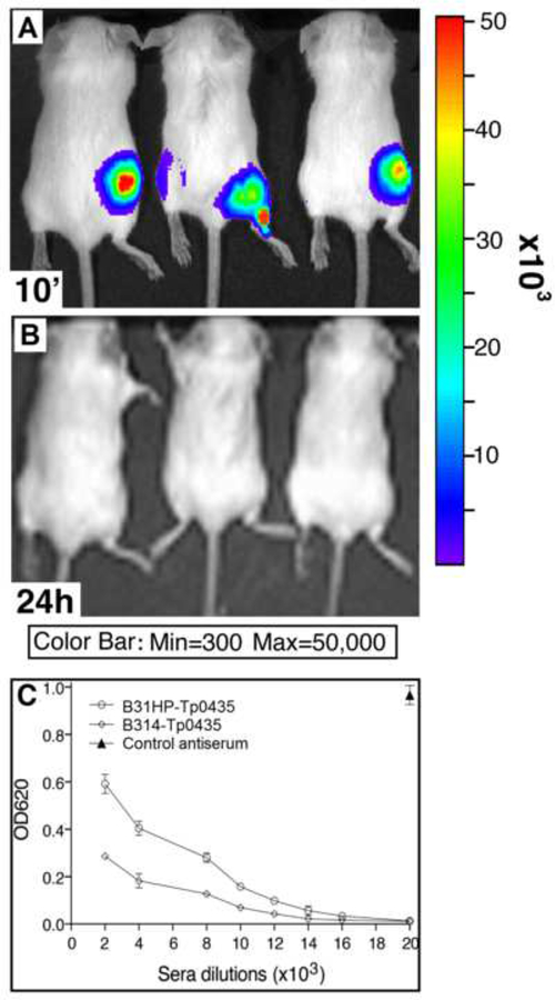 Figure 1: