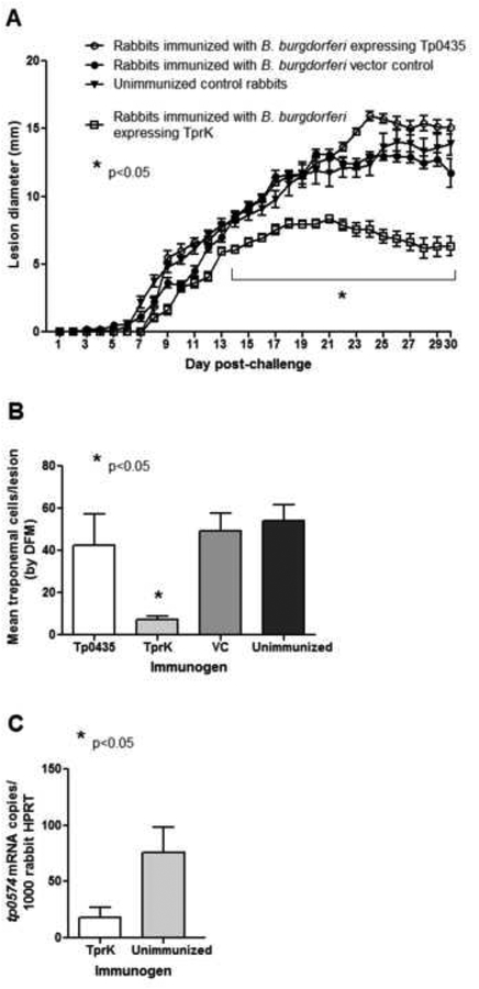 Figure 7: