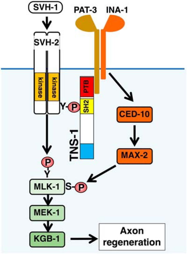 Figure 9.