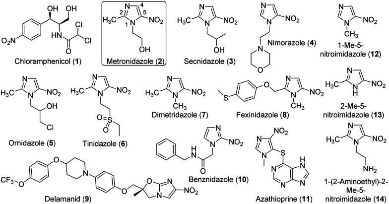 Fig. 1