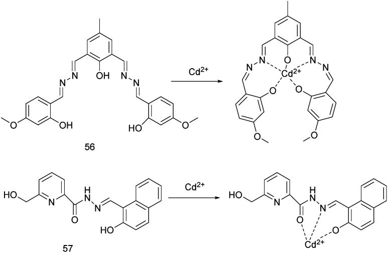 Fig. 20