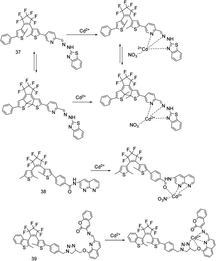 Fig. 13