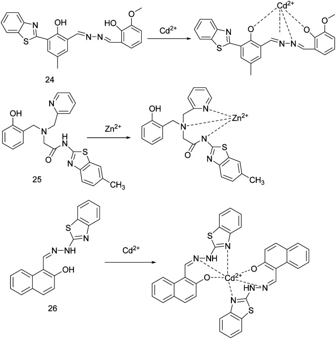 Fig. 9