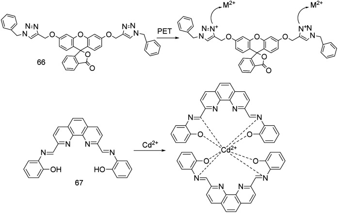 Fig. 24