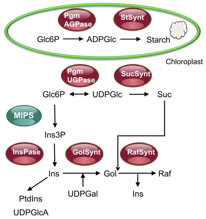 FIGURE 2