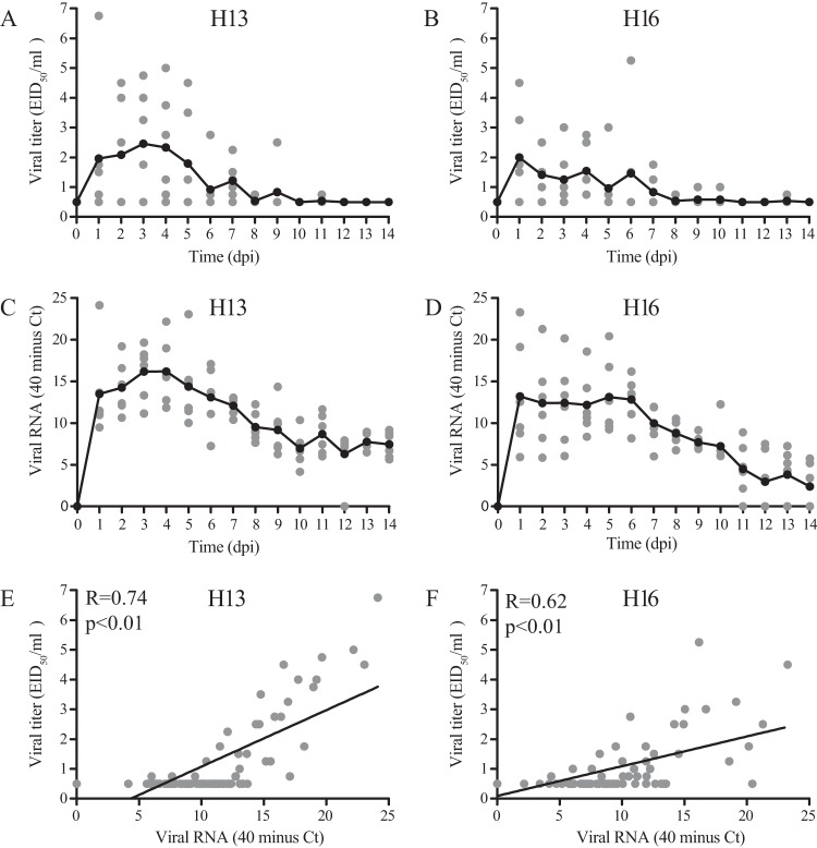 FIG 1