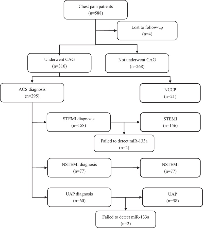 FIGURE 1