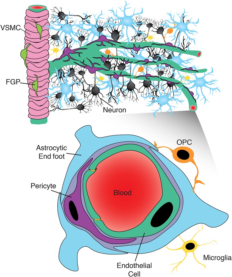 Figure 2.