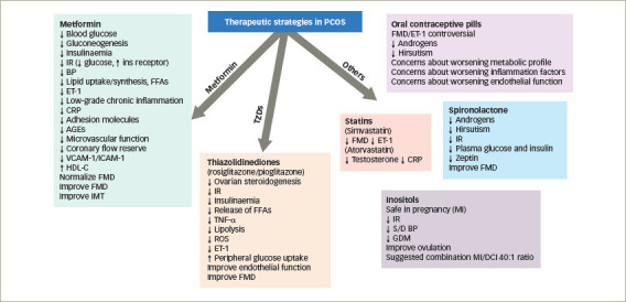 Figure 3: