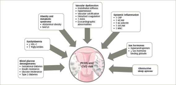 Figure 2: