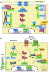 Fig. 2