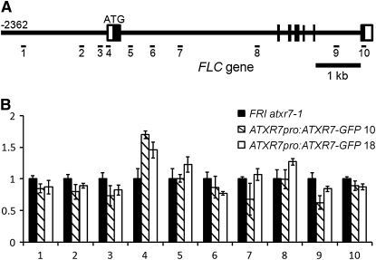 Figure 6.